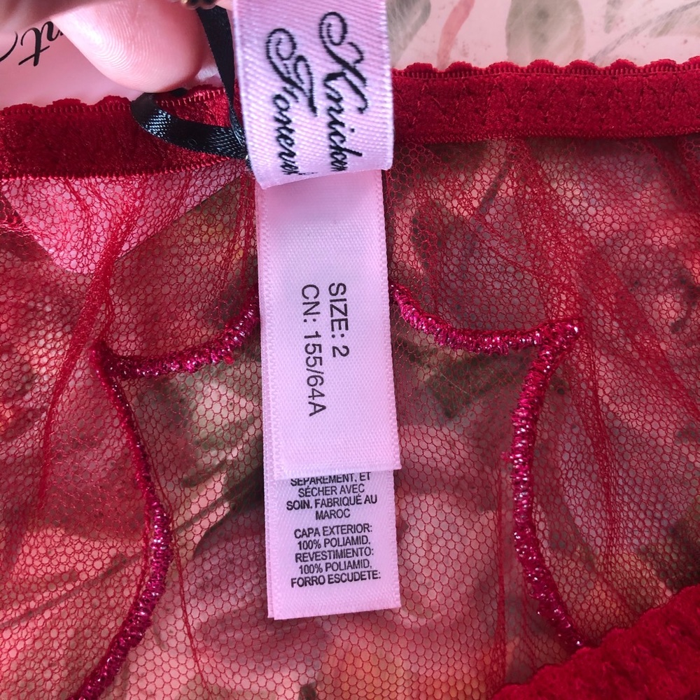 Lorna red/pink lurex brief - Picture 4 of 10